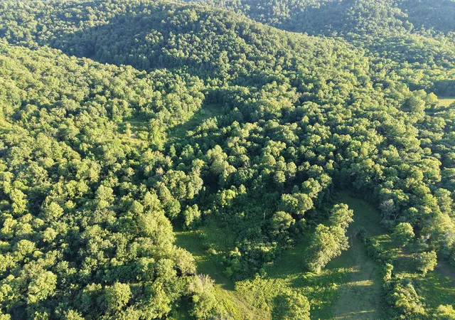 Photo 3 of Land for sale at 2319 Beechy Crk Rd, Wallingford, KY 41093 | MLS# 645713 | Listing updated on 2026-08-14
