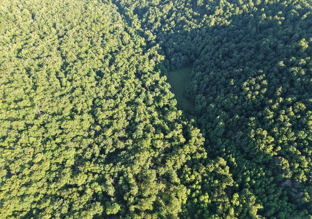 Photo 4 of Land for sale at 2319 Beechy Crk Rd, Wallingford, KY 41093 | MLS# 645713 | Listing updated on 2026-08-14