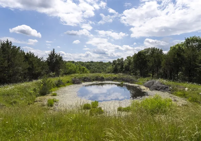 Photo 4 of Land for sale at 461 Adams Rd, Williamstown, KY 41097 | MLS# 645947 | Listing updated on 2026-08-21