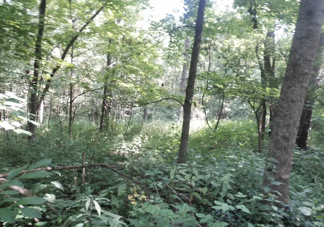Photo 4 of Land for sale at 375 Moon Rd, Williamstown, KY 41097 | MLS# 645556 | Listing updated on 2026-08-15
