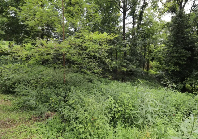 Photo 3 of Sale Pending at 354 Garrett Ave, Brooksville, KY 41004 | MLS# 645598 | Listing updated on 2026-08-31