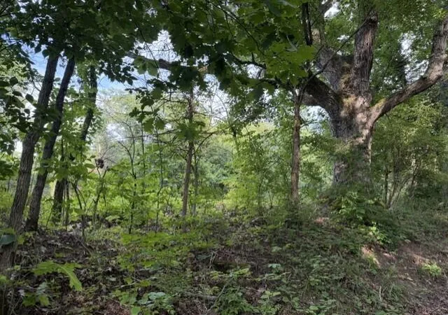 Photo 3 of Land for sale at 881 Galbraith Rd, Brooksville, KY 41004 | MLS# 645737 | Listing updated on 2026-08-15