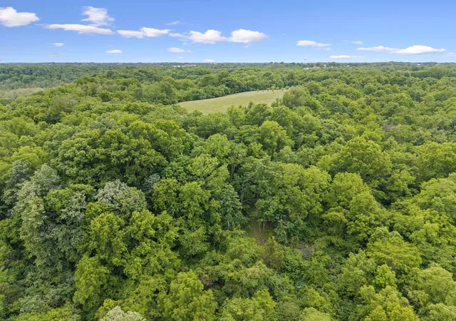 Photo 3 of Land for sale at 0 Lockmier 57+/ Acres Rd, Augusta, KY 41002 | MLS# 645779 | Listing updated on 2026-08-18