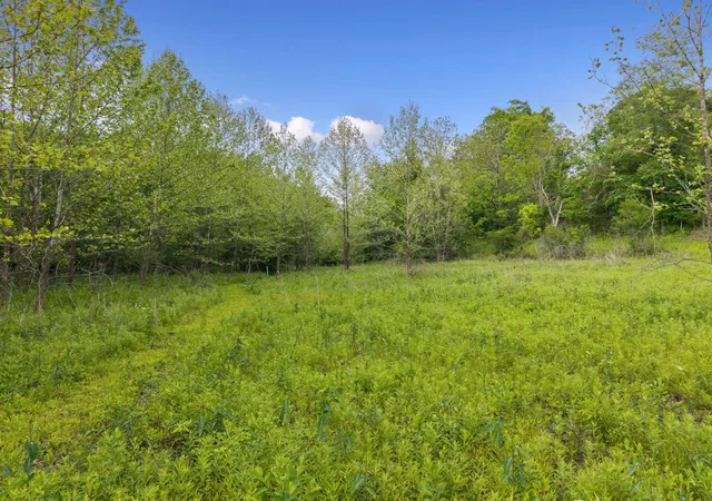 Photo 3 of Land for sale at 0 Lockmier 57+/ Acres Rd, Augusta, KY 41002 | MLS# 645779 | Listing updated on 2026-08-18