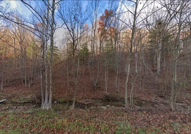 Photo 2 of Land for sale at 2555 Dry Fork Rd, South Shore, KY 41175 | MLS# 645993 | Listing updated on 2026-09-16