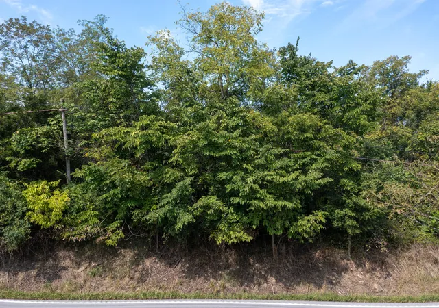 Photo 5 of Land for sale at 0 Dixie Hwy, Williamstown, KY 41097 | MLS# 646191 | Listing updated on 2026-09-02