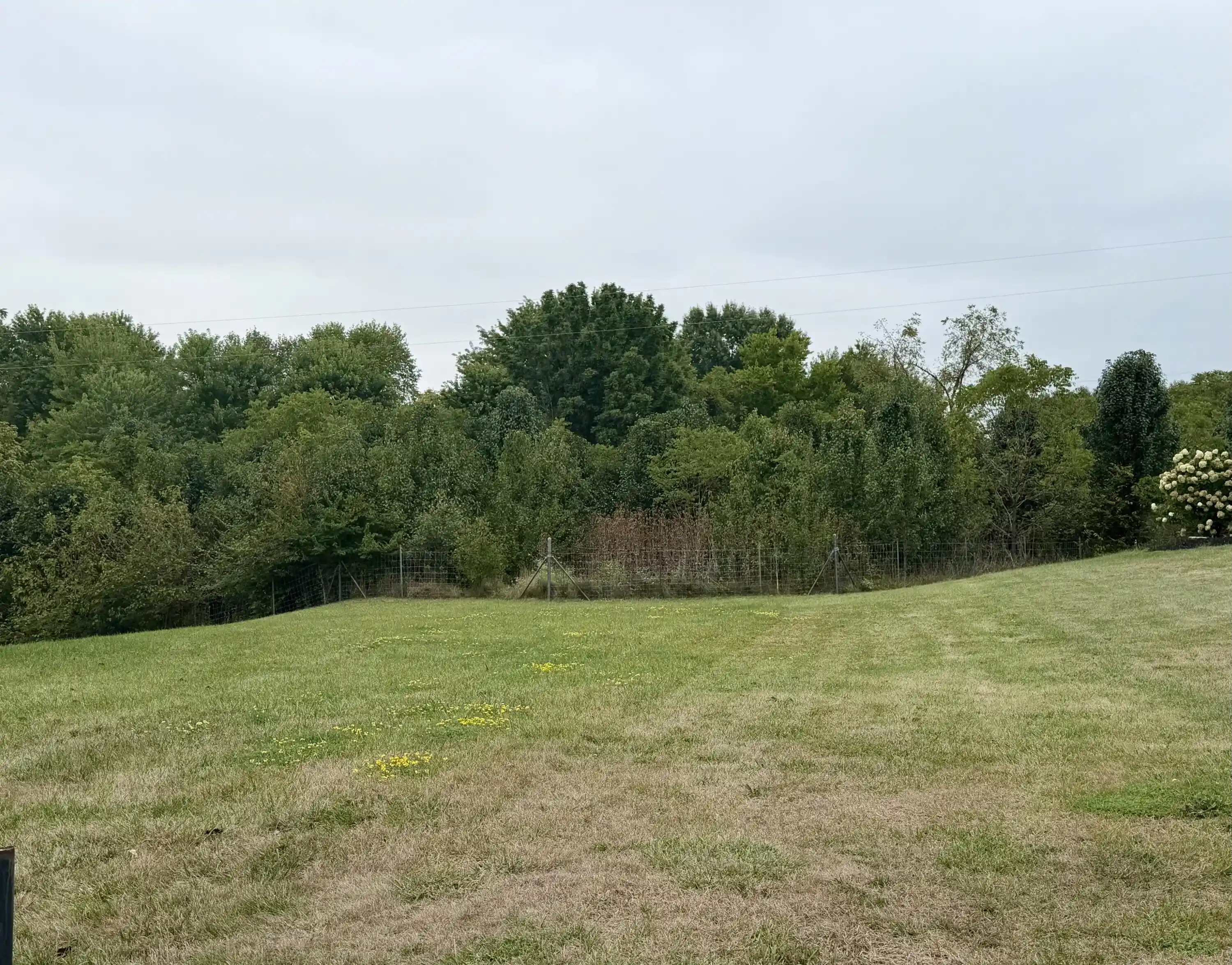 Photo 1 of Single family home for sale at 11553 Allaire Ct, Independence, KY 41051 | MLS# 647073 | Listing updated on 2026-09-29