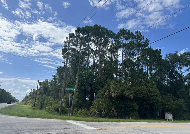 1st image of 0000 Hwy 46, Geneva, FL 32732 | MLS# 1018817
