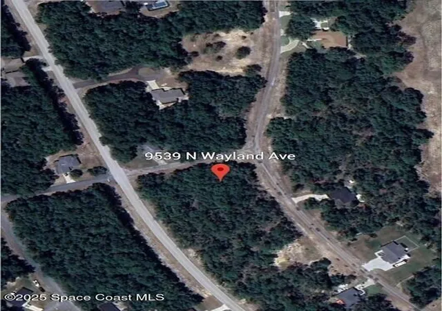 Photo 3 of Land for sale at 9539 N Wayland Ave, Citrus Springs, FL 34434 | MLS# 1033397 | Listing updated on 2026-01-29