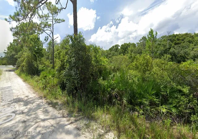 Photo 3 of Land for sale at 0000 Sr 40, Ormond Beach, FL 32174 | MLS# 1035191 | Listing updated on 2026-04-23