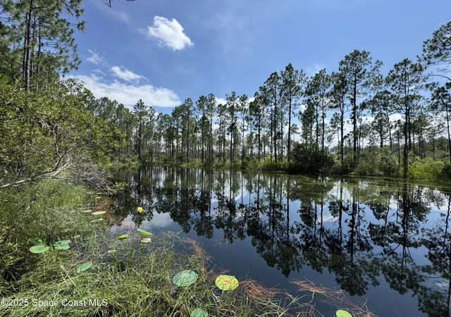 Homes for sale in Mims, FL | 4300 Justa Rd, Mims, FL 32754 | MLS# 1051856