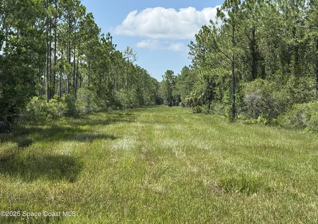 Homes for sale in Mims, FL | 4300 Justa Rd, Mims, FL 32754 | MLS# 1051856