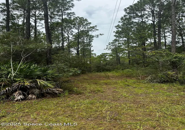 Photo 3 of Sale Pending at 0000 SW 175th Lot #12 Ct, Dunnellon, FL 34432 | MLS# 1053835 | Listing updated on 2026-05-05