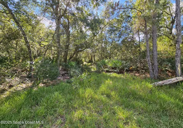 Photo 12 of Land for sale at 4600 N Beacon Light Rd, Edgewater, FL 32141 | MLS# 1058373 | Listing updated on 2026-04-25