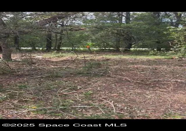 2nd image of 0 112 Ln, Silver Springs, FL 34488 | MLS# 1058661