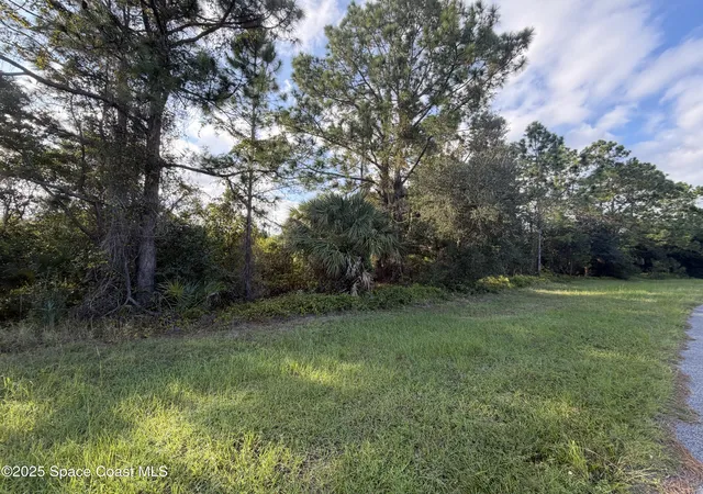 Photo 3 of Land for sale at 3900 Rambling Acres Dr, Titusville, FL 32796 | MLS# 1060183 | Listing updated on 2026-05-08
