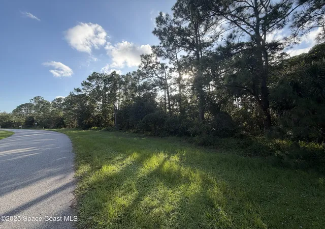 Photo 4 of Land for sale at 3900 Rambling Acres Dr, Titusville, FL 32796 | MLS# 1060183 | Listing updated on 2026-05-08