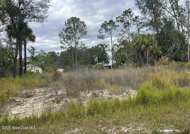 1st image of 491 La Coco St Sw, Palm Bay, FL 32908 | MLS# 1061781
