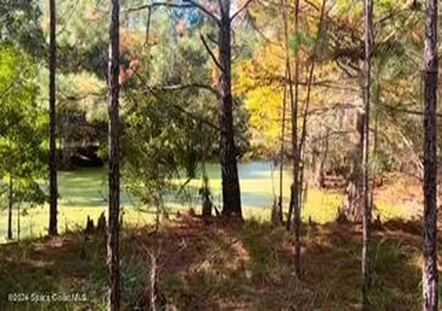 5th image of 882 County Road 310, Interlachen, FL 32148 | MLS# 1061819