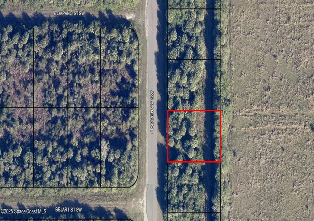 Land for sale at 1521 Madden Ave SW, Palm Bay, FL 32908 | MLS# 1065160