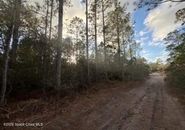 7th image of 880 Still Rd, Pierson, FL 32180 | MLS# 1066429