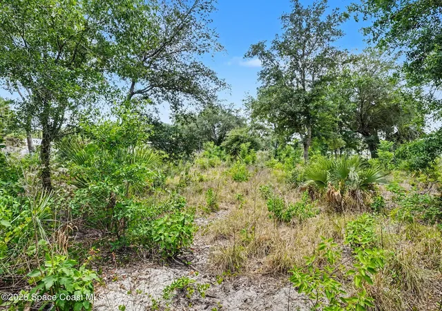 35th image of 5560 Cangro St, Cocoa, FL 32926 | MLS# 1077608