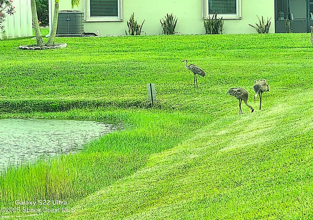 4th image of 731 Corbin Cir Sw, Palm Bay, FL 32909 | MLS# 1072734