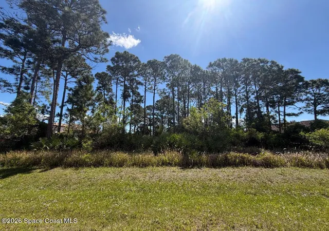 5th image of 2515 Stillwater Lakes Dr Sw, Palm Bay, FL 32908 | MLS# 1075426