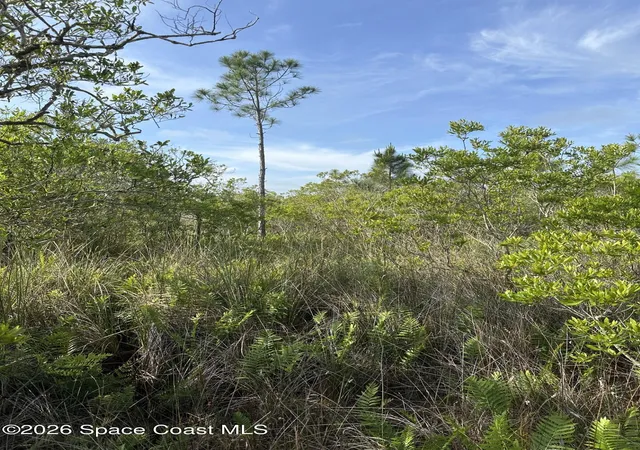 Photo 2 of Land for sale at 0 Jason Ave, Cocoa, FL 32926 | MLS# 1075161 | Listing updated on 2026-09-16