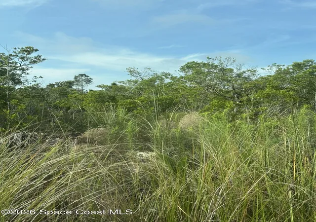 Photo 3 of Land for sale at 0 Jason Ave, Cocoa, FL 32926 | MLS# 1075161 | Listing updated on 2026-09-16