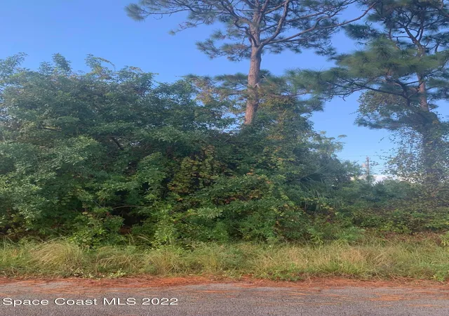 5th image of 761 Indigo St Se, Palm Bay, FL 32909 | MLS# 1079470