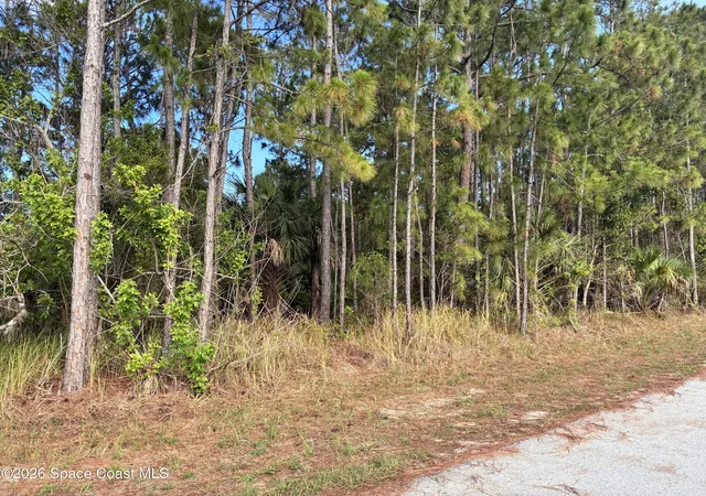 Photo 2 of Sale Pending at 0 Se Ulster/union St, Palm Bay, FL 32909 | MLS# 1079771 | Listing updated on 2026-09-04
