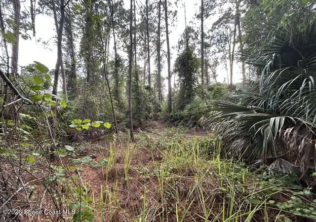 Photo 4 of Land for sale at 258 Krassner Dr NW, Palm Bay, FL 32907 | MLS# 1080592 | Listing updated on 2026-06-21