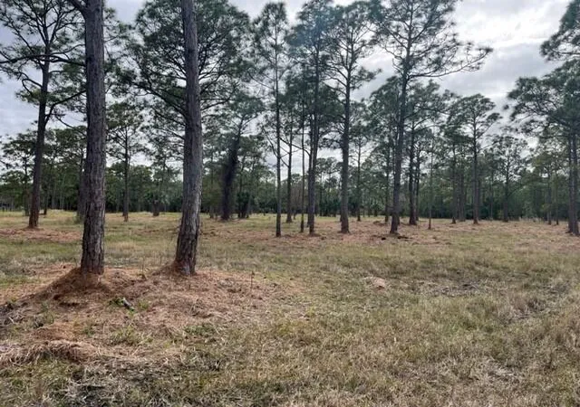 Photo 1 of Land for sale at 0000 Govan Ave, Malabar, FL 32950 | MLS# 1081418 | Listing updated on 2026-09-03