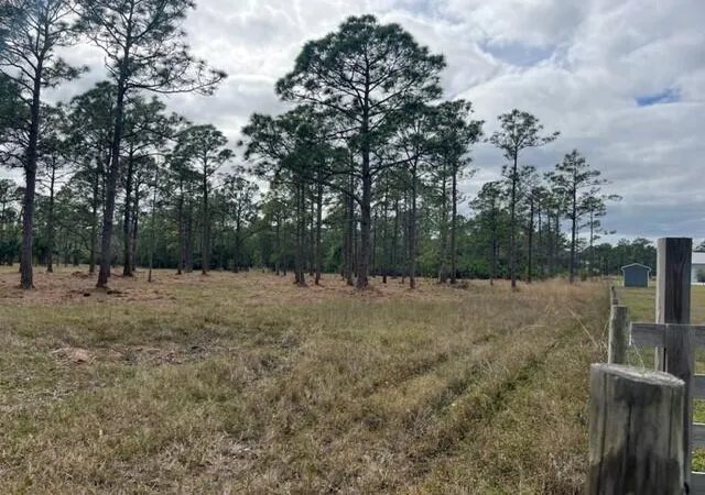 Photo 2 of Land for sale at 0000 Govan Ave, Malabar, FL 32950 | MLS# 1081418 | Listing updated on 2026-09-03