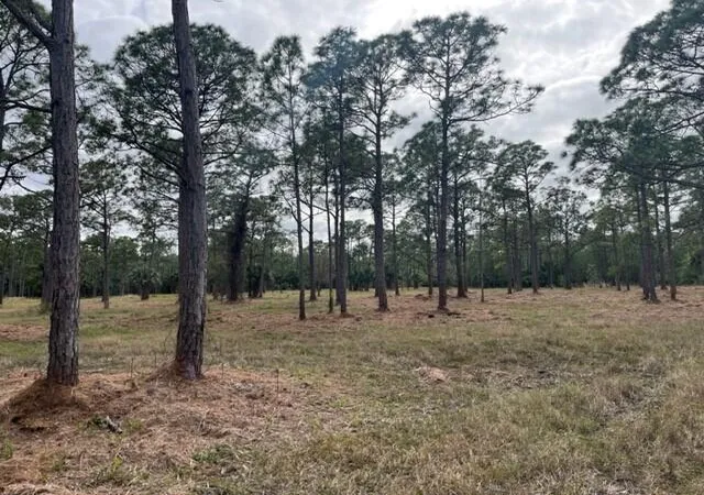 Photo 3 of Land for sale at 0000 Govan Ave, Malabar, FL 32950 | MLS# 1081418 | Listing updated on 2026-09-03