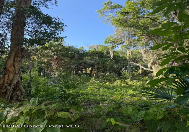 1st image of 1838 Lemay Dr Ne, Palm Bay, FL 32905 | MLS# 1082459
