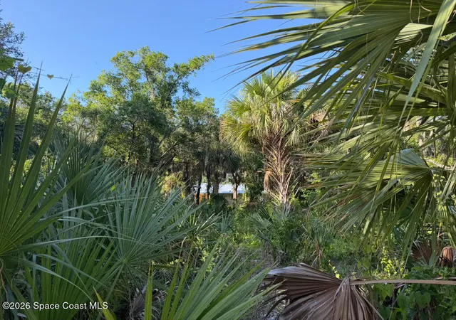 2nd image of 1838 Lemay Dr Ne, Palm Bay, FL 32905 | MLS# 1082459