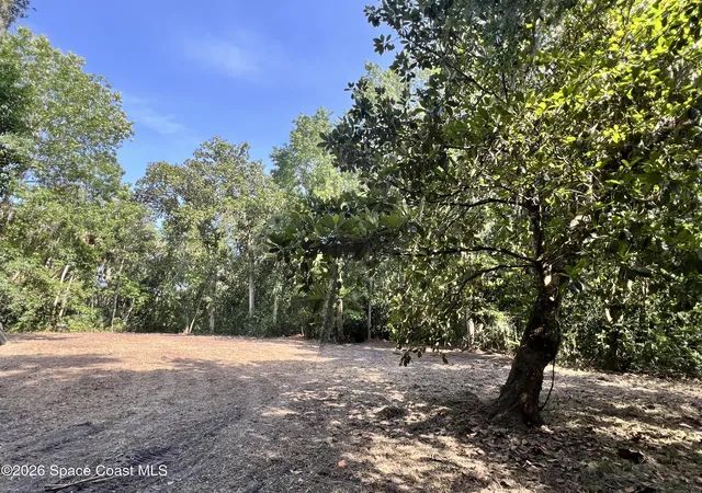 3rd image of 0 Carter Rd, Mims, FL 32754 | MLS# 1082138
