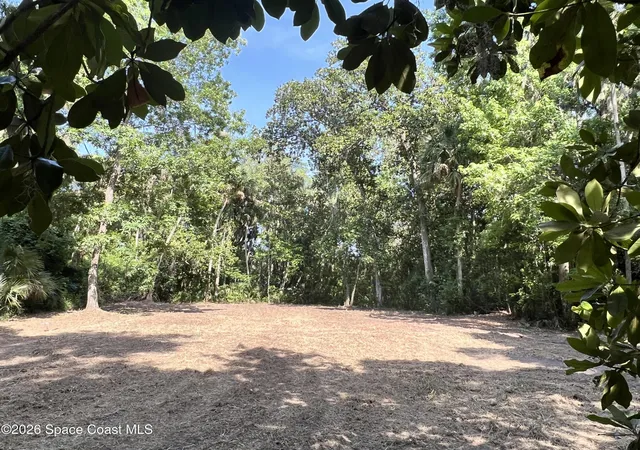 4th image of 0 Carter Rd, Mims, FL 32754 | MLS# 1082138