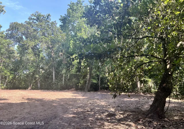 5th image of 0 Carter Rd, Mims, FL 32754 | MLS# 1082138