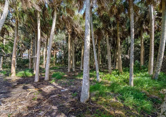 Photo 3 of Land for sale at 2940 Maritime Ln, Merritt Island, FL 32953 | MLS# 1085957 | Listing updated on 2026-08-25