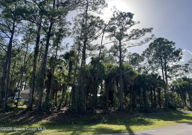 Land for sale at Unknown Wellwood St SW, Palm Bay, FL 32908 | MLS# 1090957