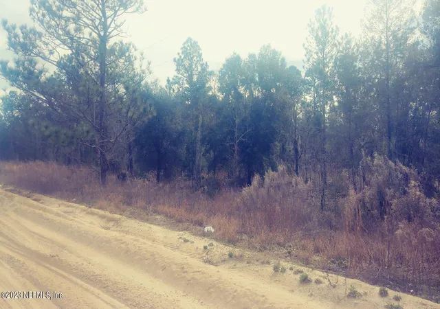 Photo 1 of Land for sale at 521 Interlachen Blvd, Interlachen, FL 32148 | MLS# 1209617 | Listing updated on 2026-01-15