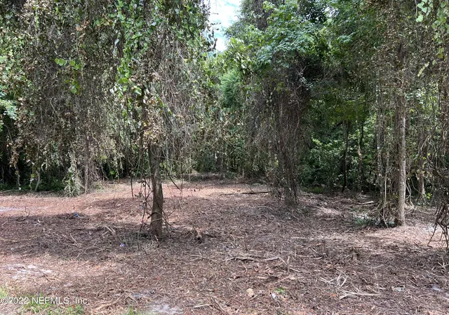 2nd image of 4070 Honeysuckle Cir, Middleburg, FL 32068 | MLS# 1177032