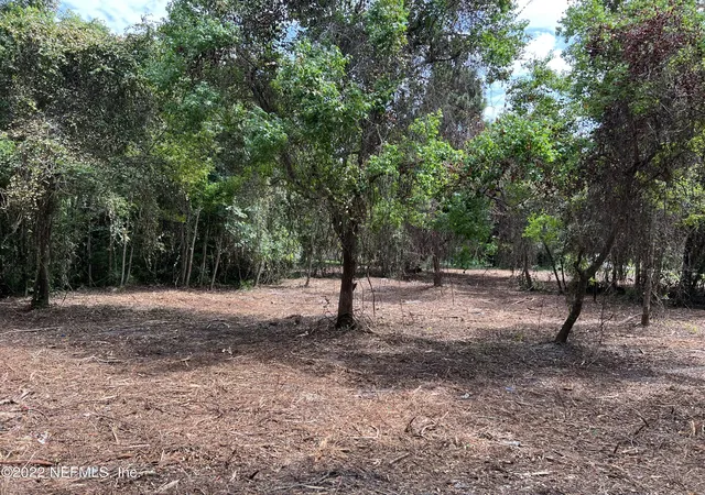 3rd image of 4070 Honeysuckle Cir, Middleburg, FL 32068 | MLS# 1177032