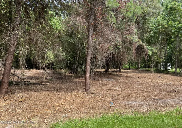 5th image of 4070 Honeysuckle Cir, Middleburg, FL 32068 | MLS# 1177032