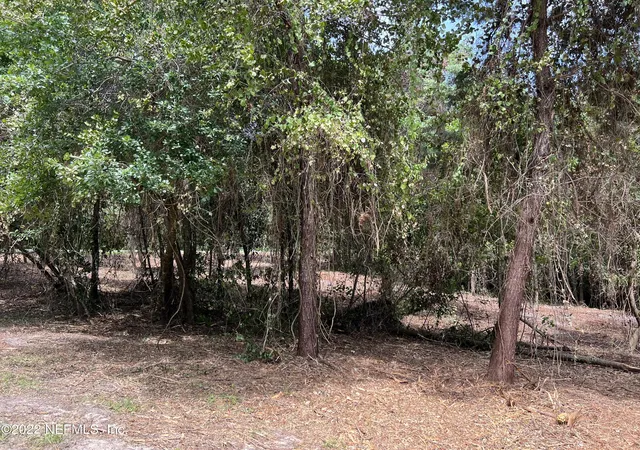 6th image of 4070 Honeysuckle Cir, Middleburg, FL 32068 | MLS# 1177032