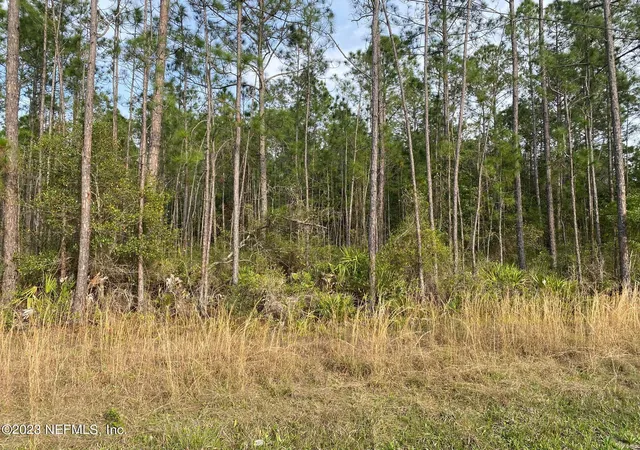 5th image of Aaa Cr 315, Interlachen, FL 32148 | MLS# 1216036