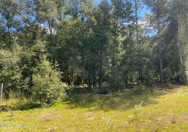 Photo 2 of Land for sale at X9x Tasby St, Interlachen, FL 32148 | MLS# 1215968 | Listing updated on 2026-05-19